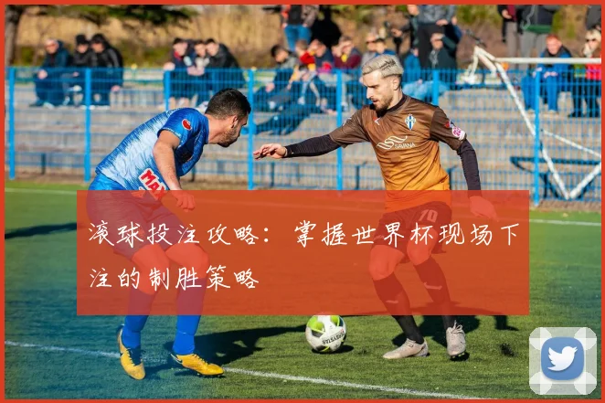 滚球投注攻略：掌握世界杯现场下注的制胜策略