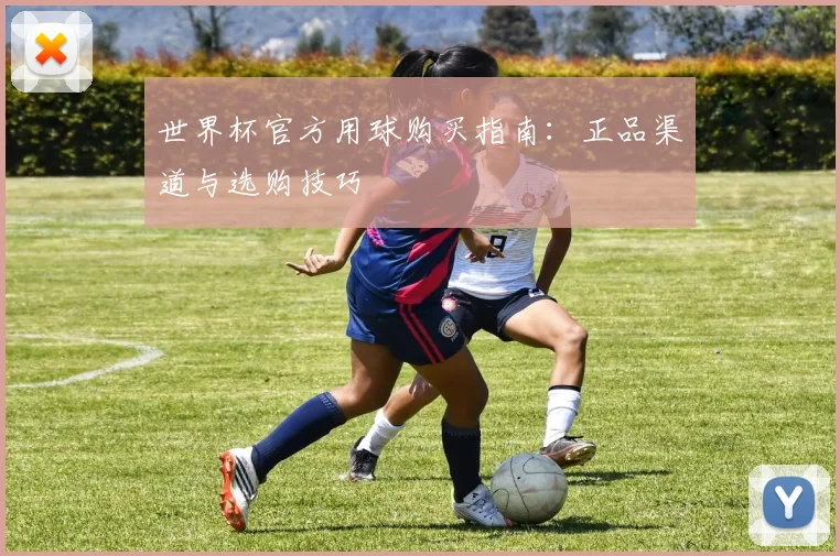 世界杯官方用球购买指南：正品渠道与选购技巧
