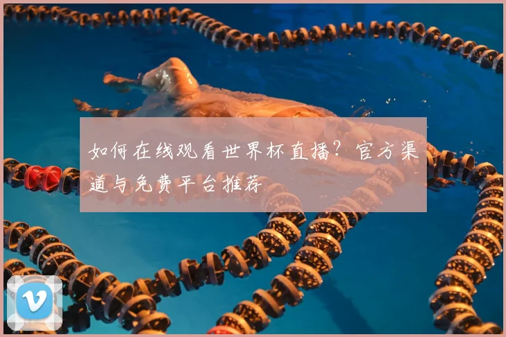 如何在线观看世界杯直播?官方渠道与免费平台推荐