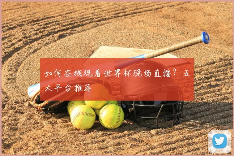 如何在线观看世界杯现场直播?五大平台推荐