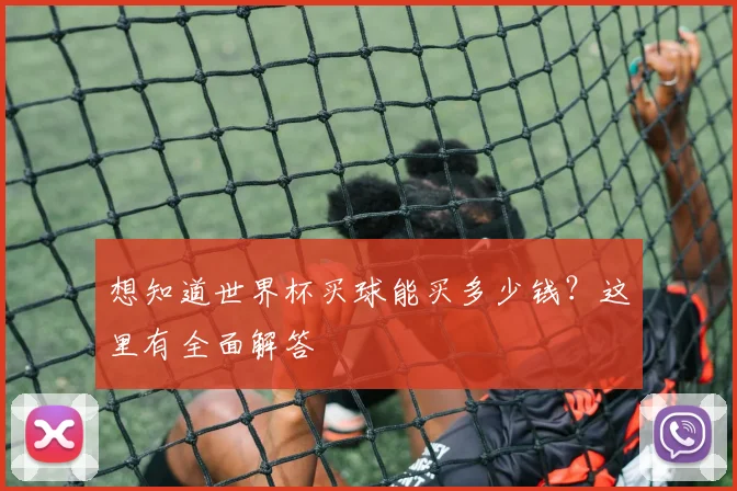想知道世界杯买球能买多少钱?这里有全面解答