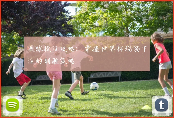 滚球投注攻略：掌握世界杯现场下注的制胜策略