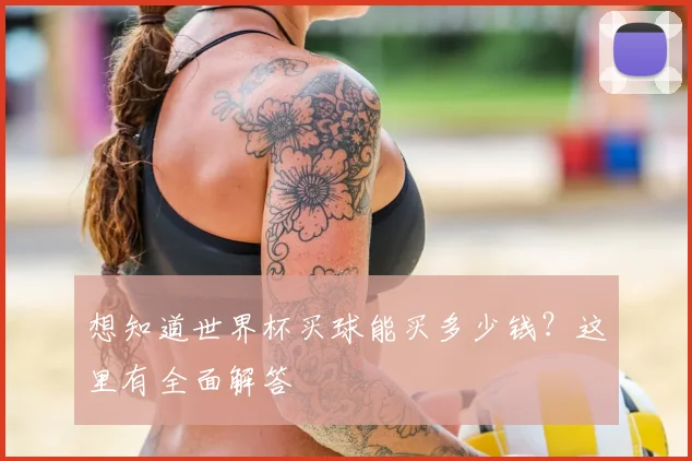 想知道世界杯买球能买多少钱?这里有全面解答