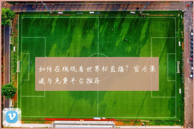 如何在线观看世界杯直播?官方渠道与免费平台推荐