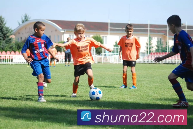 多媒体互动体验